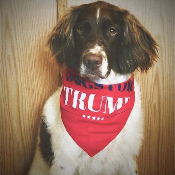 Meet your Posher, Michele - Picture 1 of 1